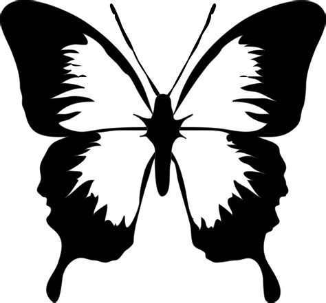 cartoon butterfly black and white|black and white butterfly background.